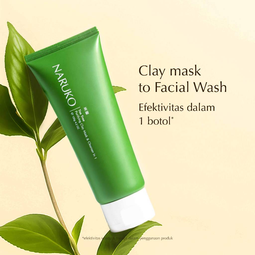 Tea Tree Purifying Clay Mask and Cleanser