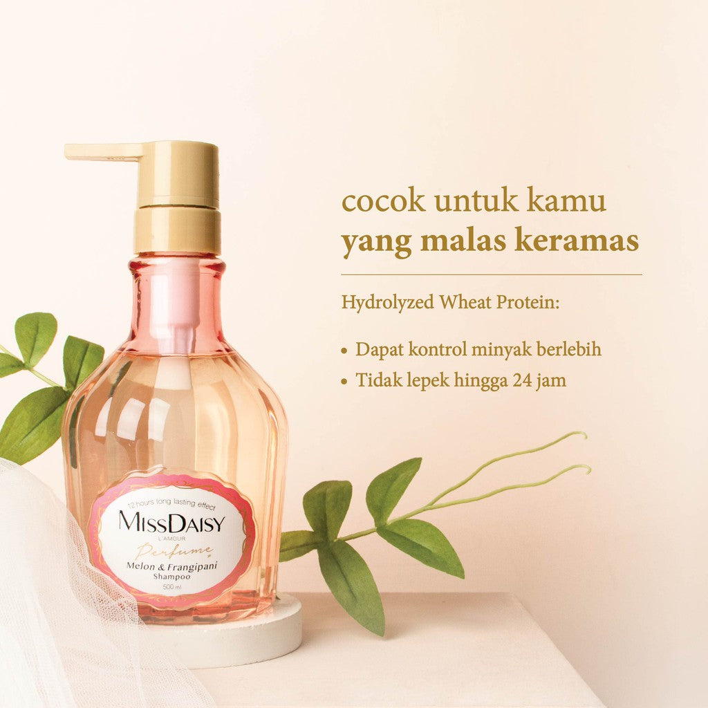 MISS DAISY | Anti Rontok Wangi Tahan Lama 12 Jam | Melon & Frangipani Perfume Shampoo 500ml