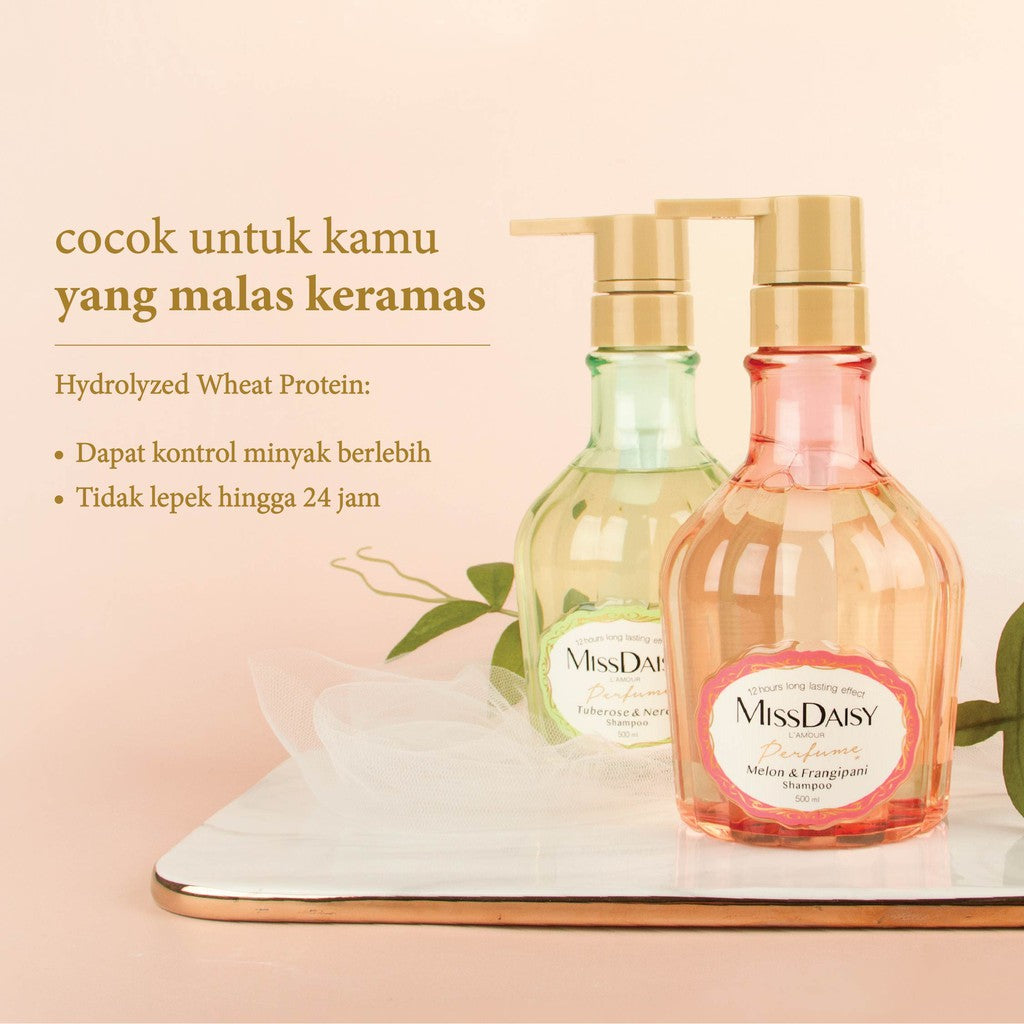 MISS DAISY | Anti Rontok Anti Lepek Wangi Tahan Lama 12 Jam | French Perfume Shampoo