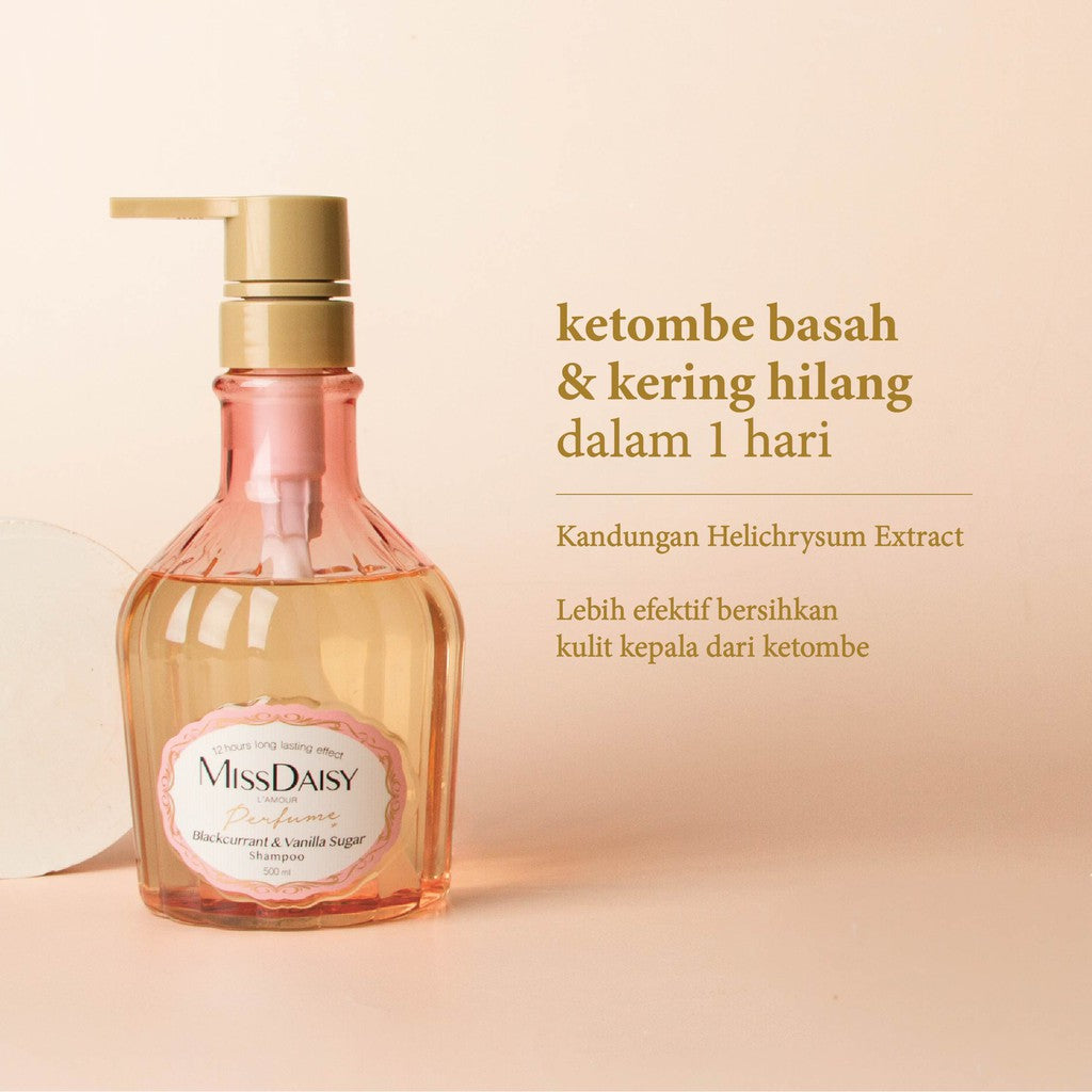 MISS DAISY | Anti Rontok Wangi Tahan Lama 12 Jam | Blackcurrant & Vanilla Perfume Shampoo 500ml