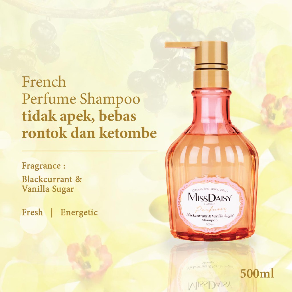 MISS DAISY | Anti Rontok Wangi Tahan Lama 12 Jam | Blackcurrant & Vanilla Perfume Shampoo 500ml